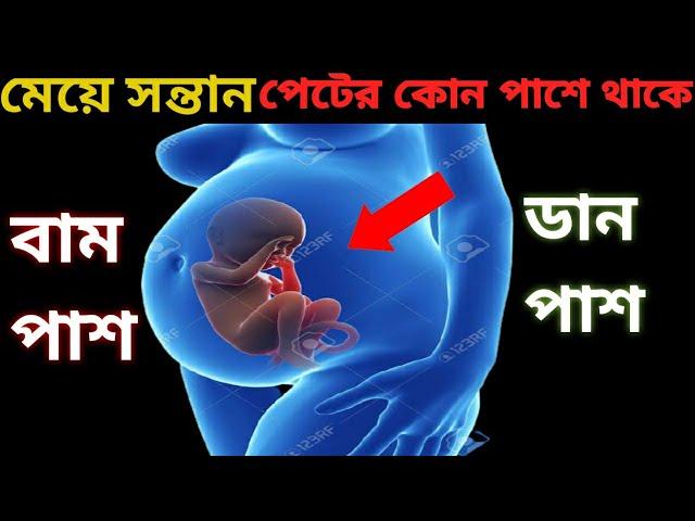 গর্ভাবস্থায় মেয়ে সন্তান পেটের কোন পাশে থাকে?গর্ভের বাচ্চা ছেলে নাকি মেয়ে তার জানার উপায়।