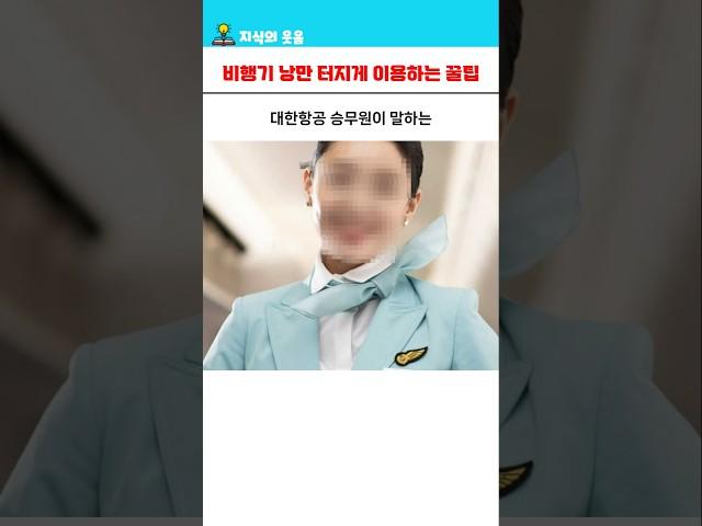 현직 승무원의 비행기 낭만 터지게 이용하는 꿀팁