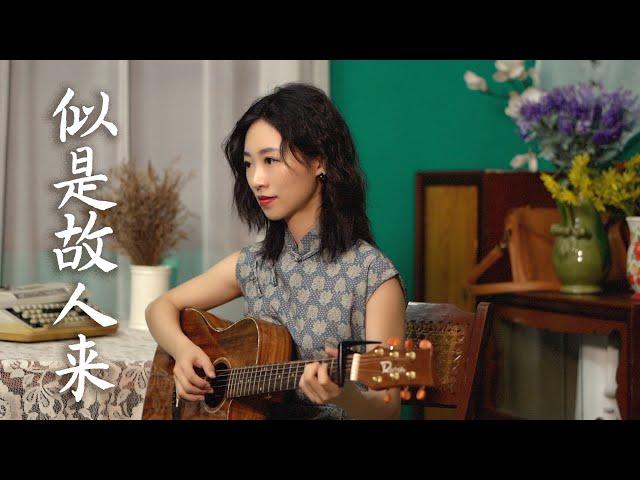 梅艷芳 - 似是故人來 Acoustic guitar cover 吉他弹唱 粵語翻唱+旗袍  | Ayen 何璟昕