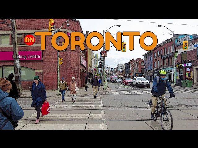 TORONTO / BLOOR STREET / WALK ( DEC 2024 )