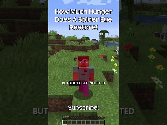 How Much Hunger Does A Spider Eye Restore In Minecraft?!