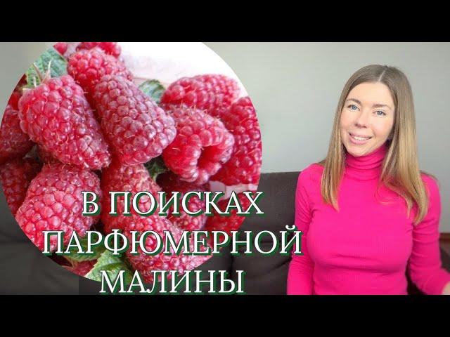 АРОМАТЫ С НОТОЙ МАЛИНЫ среди люкса, ниши и бюджета