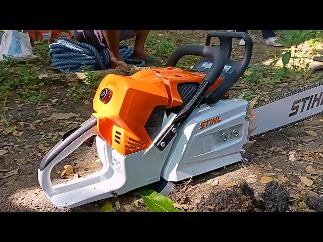 Stihl ms 881 first start & cutting vs Husqvarna 3120xp.