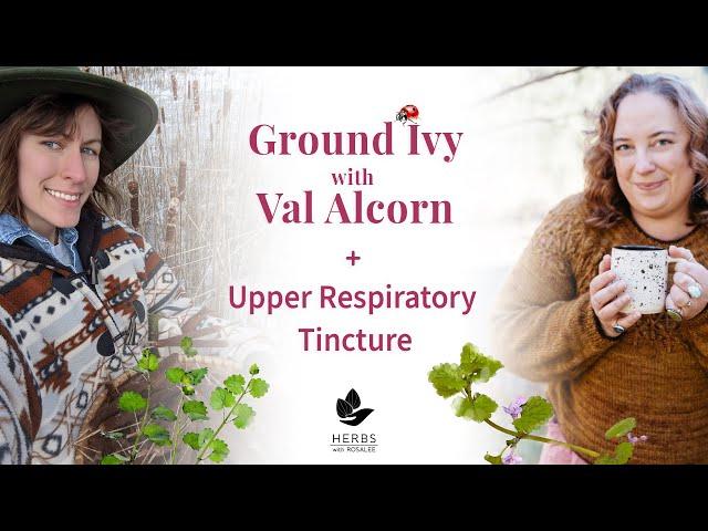 Ground Ivy with Val Alcorn + Upper Respiratory Tincture