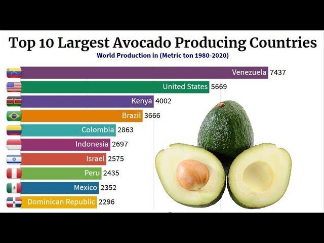 Top 10 Largest Avocado Producing Countries in the World (1980 - 2020)