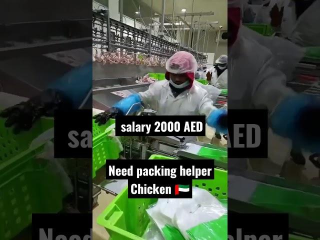 Need chicken Packing helper iN DUBAi