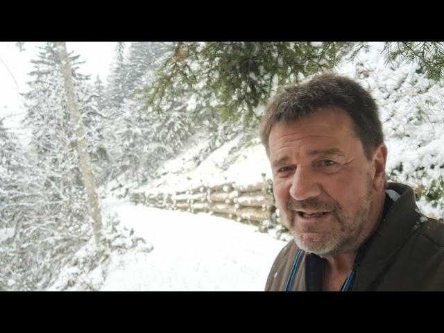 "Mein Hund"  Das kompromisslose Ablegen