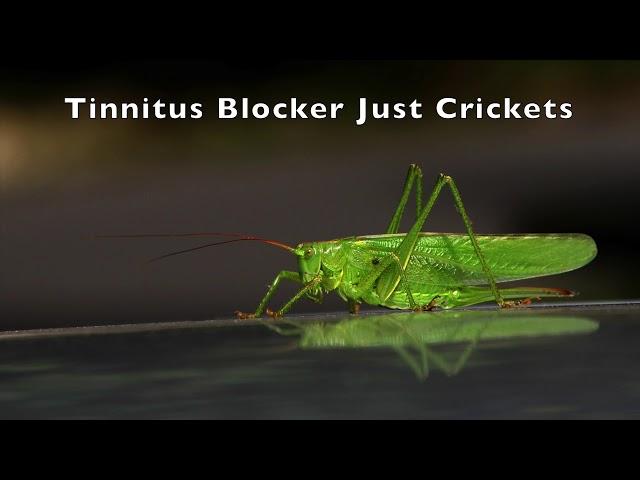 Tinnitus Blocker Just Crickets 10 Hours Nature Sounds