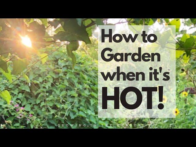 HOT SUMMER GARDEN TIPS to successfully grow a summer garden in HOT climates like ARIZONA