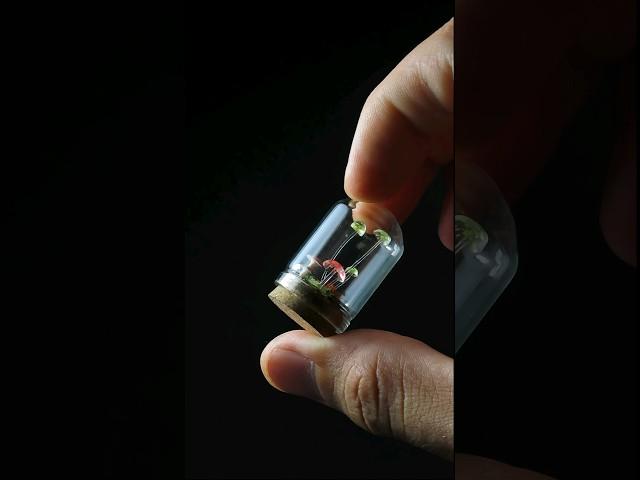 Tiny trippy mushroom diorama  #mushroom  #diorama  #dioramamaker  #mini  #miniatures  #scalemodel