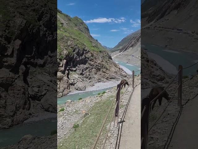 Panchtarni River view during Amarnathyatra 13.07.23.#amarnathyatra