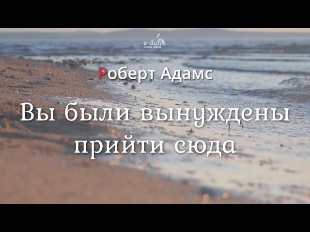 Роберт Адамс - Вы были вынуждены прийти сюда [Nikosho]