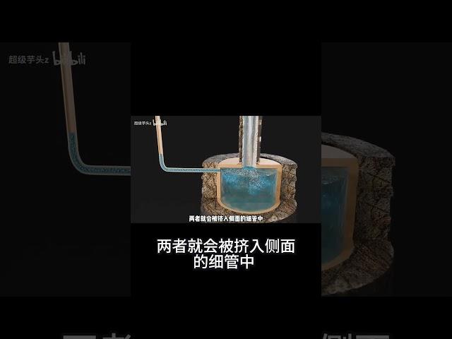 無動力水流奇蹟：古代旋渦裝置如何讓水升高6米？