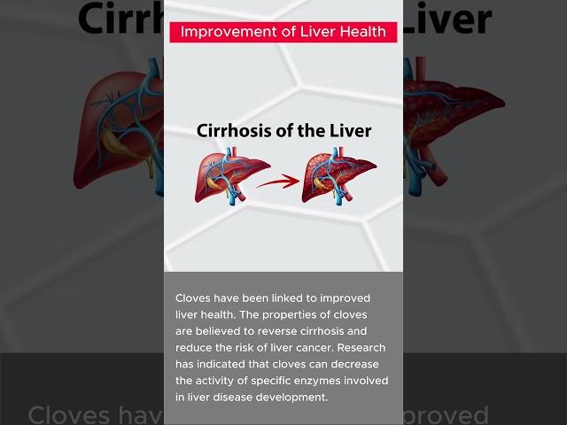 Improvement of Liver Health