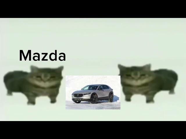 This is Mazda meme cat