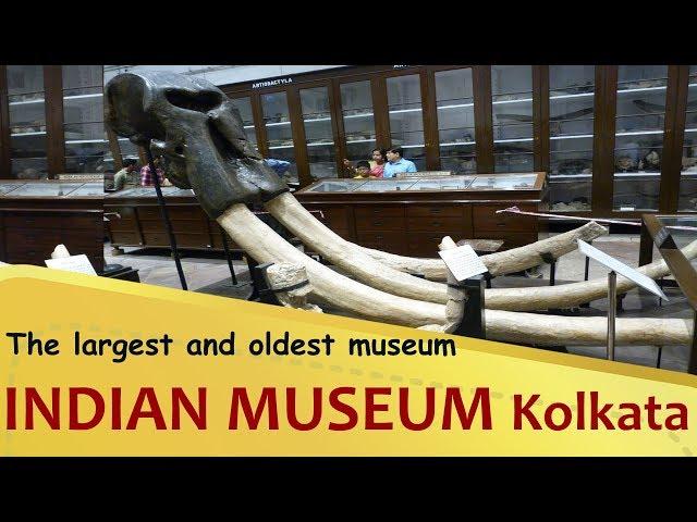 "INDIAN MUSEUM" The largest and oldest museum in India | Kolkata | West Bengal Tourism