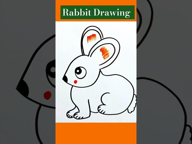 Rabbit Drawing/Rabbit Drawing Easy/Rabbit Drawing Colour/Rabbit Drawing Simple