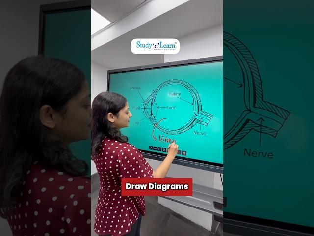 65 Inch Digital Board For Classroom - Interactive Flat Panel 65 Inch - Eye Diagram On Smart Board