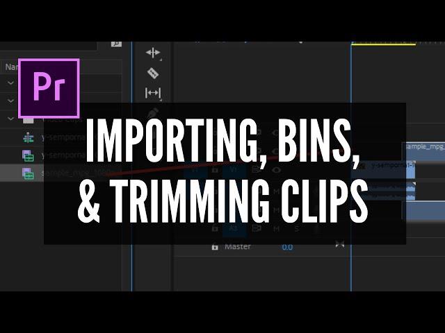 IMPORTING CLIPS, CREATING BINS, TRIMMING AND MOVING CLIPS IN ADOBE PREMIER PRO