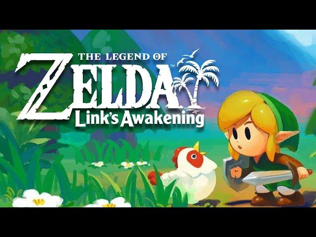 The Legend of Zelda : Link's Awakening (dunkview)