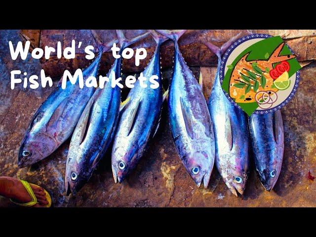 Discovering Kuwait City's Hidden Gem: Central Fish Market