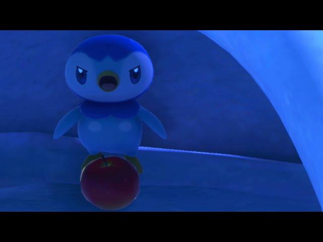 Piplup's 