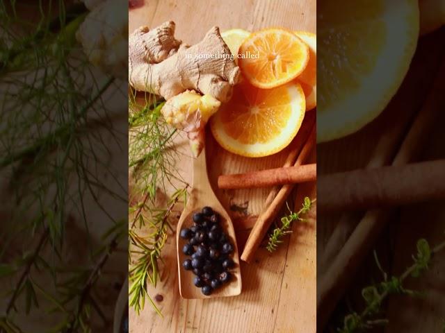 The mighty Juniper Berry has many uses including #firecider 