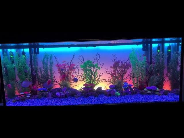 CURRENT USA ColorCast Smart Aquarium Background LED Light on 210 Gallon