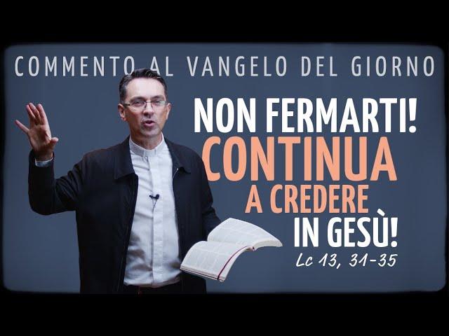 Commento al Vangelo del giorno - NON FERMARTI! CONTINUA A CREDERE IN GESÙ! - Lc 13, 31-35