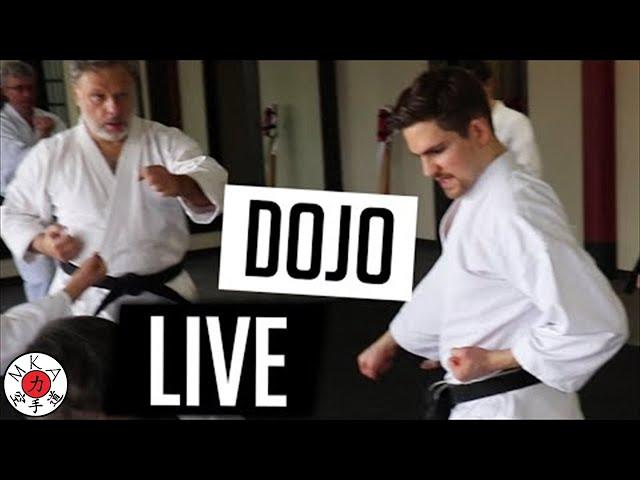 Saturday Morning, Dojo Training