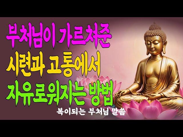 “그대여, 괜찮다” 부처님의 자비는 말 없이 안아줍니다#부처님자비#자비는연민#괴로움속자비#자기연민이아닌진짜자비#조용한위로