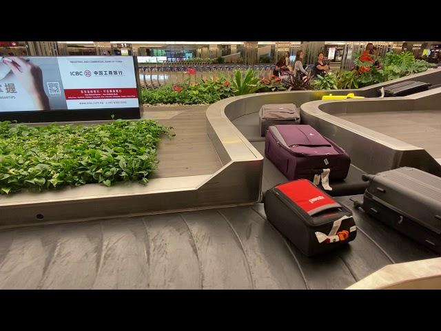 Polite Luggage at Changi Airport