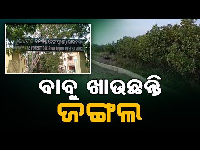 ବାବୁ ଖାଉଛନ୍ତି ଜଙ୍ଗଲ | Bhitarkanika National Park Wildlife Sanctuary in Kendrapara