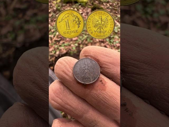 Неожиданная находка ￼ ! #shortvideo #metaldetecting #коп #поиск #клад #золото #находка #shorts #top