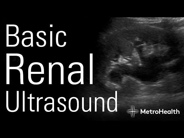 Basic Renal Ultrasound