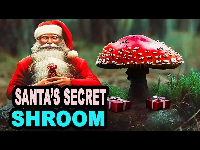 The Shocking Truth About Amanita Muscaria Mushrooms and Christmas