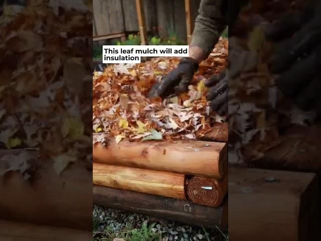 How to Rejuvenate your Soil at the end of season! #gardeningtips #wormcastings #compost
