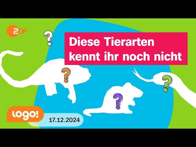 Warum immer wieder neue Tierarten entdeckt werden | logo!-Nachrichten vom 17.12.2024