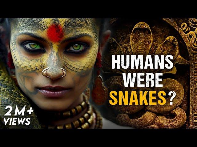 Hinduism Explains That Humans Evolved from Snakes - Mystery of Nagas