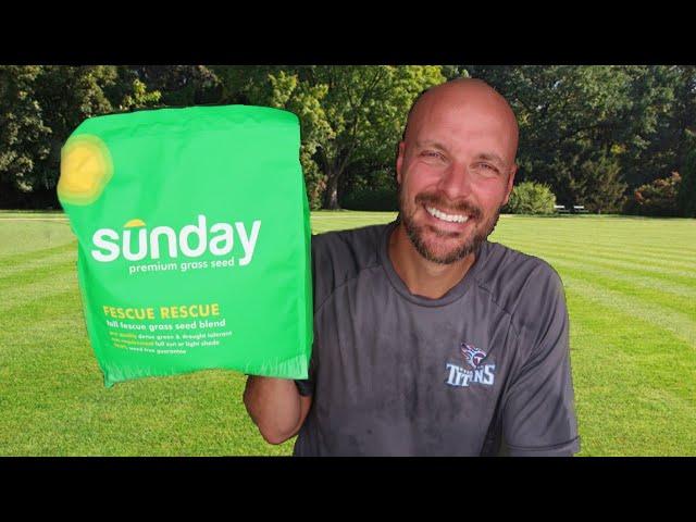 Sunday Smart Lawn Care REVIEW | The Better Lawn Service?