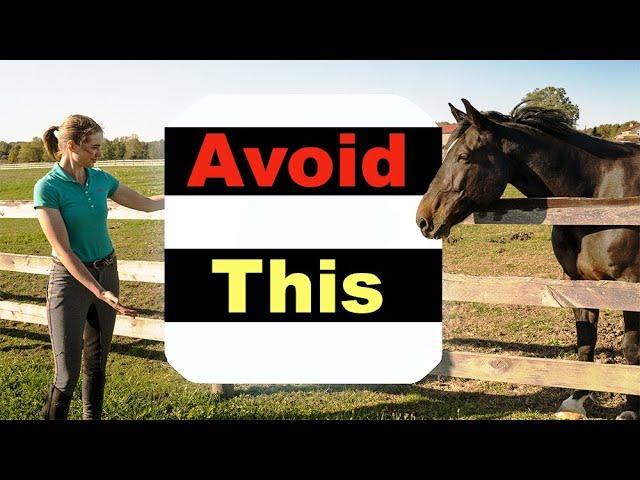 BEGINNER HORSE RIDING MISTAKES - TOP 10 