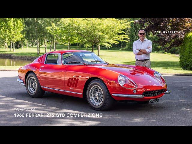 Tom Talks: 1966 Ferrari 275 GTB Competizione | Tom Hartley Jnr