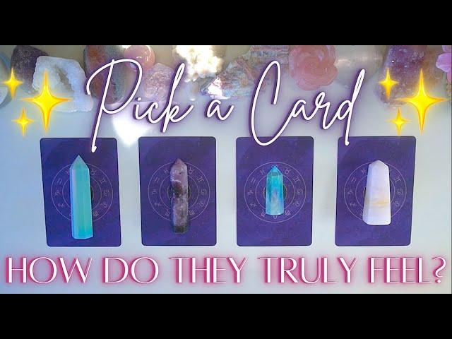 Their TRUE FEELINGS & INTENTIONS For You  Detailed Pick a Card Tarot Reading 