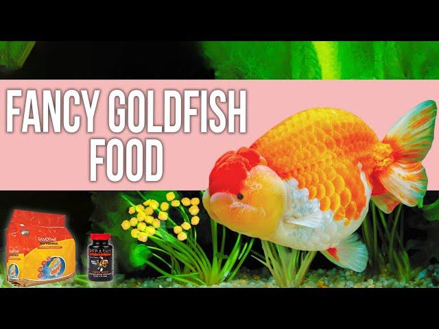 5 Best Fancy Goldfish Food