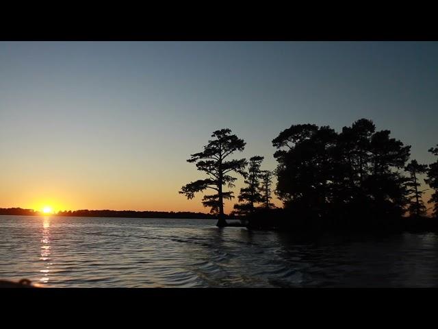 Fall at Reelfoot Lake