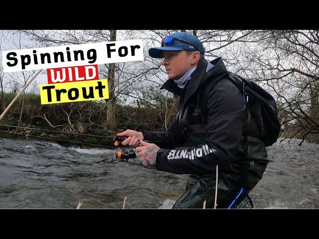 Spinning for WILD River Trout