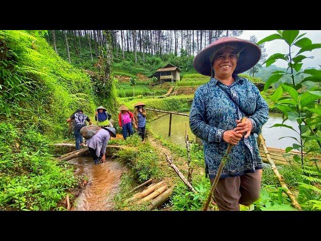 Pagi Berkabut Di Kampung Tertinggi. Sambut Senyum Ramah Penuh Keceriaan, Suasana Pedesaan Jawa Barat