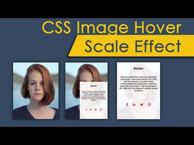 CSS Image Hover Scale Effect | csPoint web designing tutorials