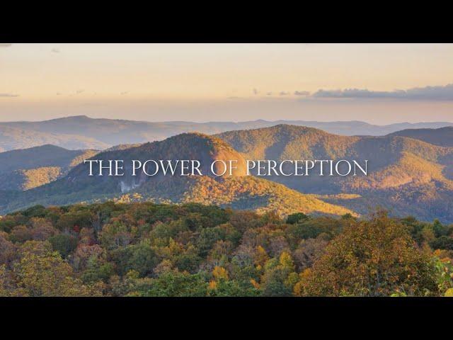 The Power of Perception - Paul Selig (Channeled Teaching 2024)