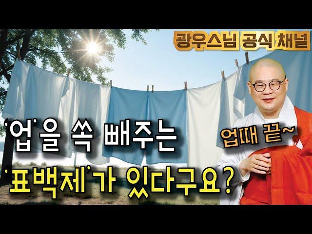 빨래의 때처럼  업을 쏙 빼주는 게 뭘까요? 궁금하시죠? | 광우스님 소나무시즌3148회